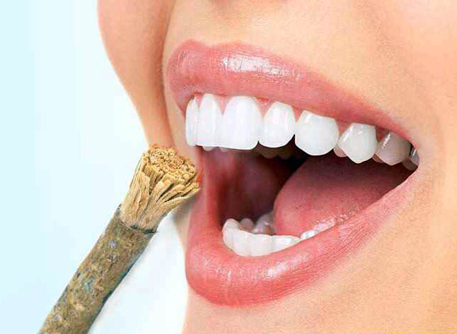 दातुन : निरोग और सुंदर दांतों के लिए जरूरी