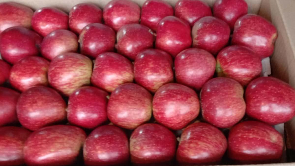 जी 20 सम्मेलन के कारण दिल्ली के लोगों को आसानी से नहीं मिलेंगे ताजे सेब..