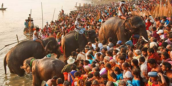 कभी हाथी और ईरानी घोड़े बिकते थे, एशिया के इस सबसे बड़े पशु मेले में